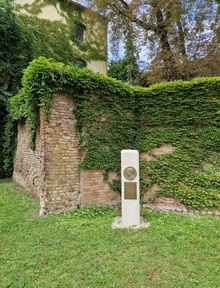 img33691.jpg