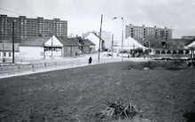 img33699.jpg