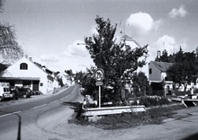 img33735.jpg