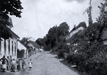 img33736.jpg