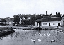 img33741.jpg