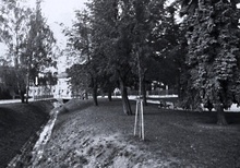img33742.jpg