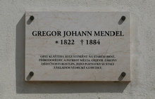 img33753.jpg