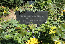 img33765.jpg