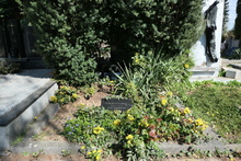 img33766.jpg