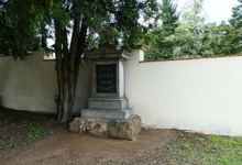 img33769.jpg