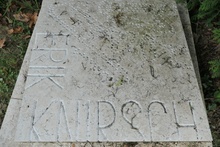 img33775.jpg