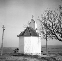 img33787.jpg