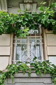 img33802.jpg
