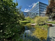 img33834.jpg