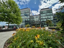 img33837.jpg