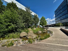 img33839.jpg