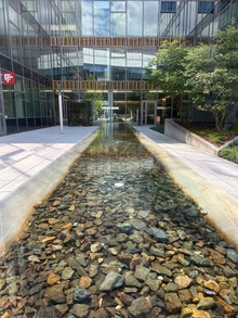img33840.jpg