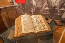 img33851.jpg