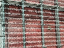 img33873.jpg
