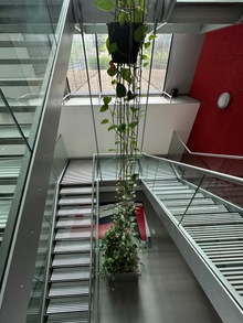 img33879.jpg