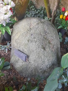 img33974.jpg