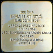 Kámen zmizelého: uctění památky oběti holocaustu - N. Lustigová