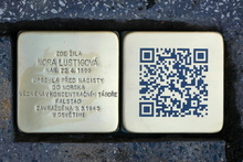 img34034.jpg