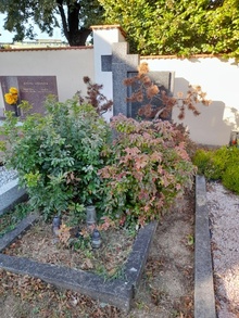 img34092.jpg