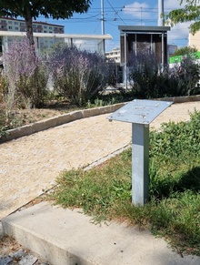 img34139.jpg