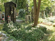 img34149.jpg