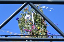 img34159.jpg