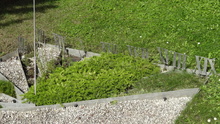 img34198.jpg