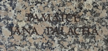 img34235.jpg