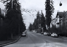 img34336.jpg
