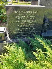 img34423.jpg