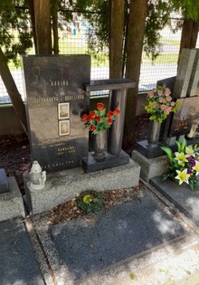 img34542.jpg