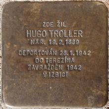 Kámen zmizelého: uctění památky oběti holocaustu - H. Troller