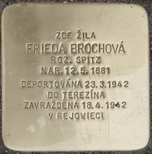 Kámen zmizelého: uctění památky oběti holocaustu - F. Brochová