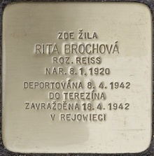 Kámen zmizelého: uctění památky oběti holocaustu - R. Brochová