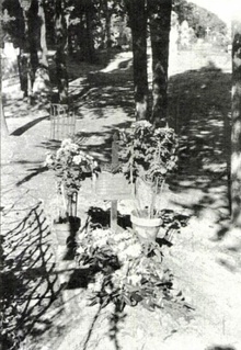 img36345.jpg