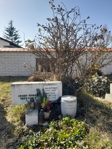 img36363.jpg