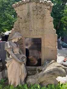 img36377.jpg