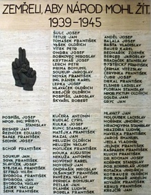 img36381.jpg