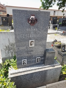 img36383.jpg