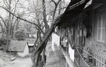 img36448.jpg