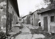 img36449.jpg