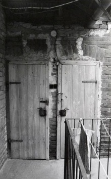 img36459.jpg