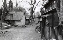 img36466.jpg