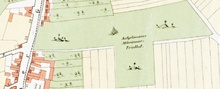 img36474.jpg