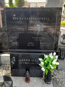 img36490.jpg