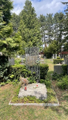 img36515.jpg