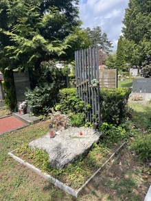 img36516.jpg