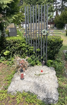 img36517.jpg