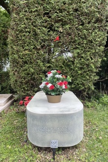 img36520.jpg